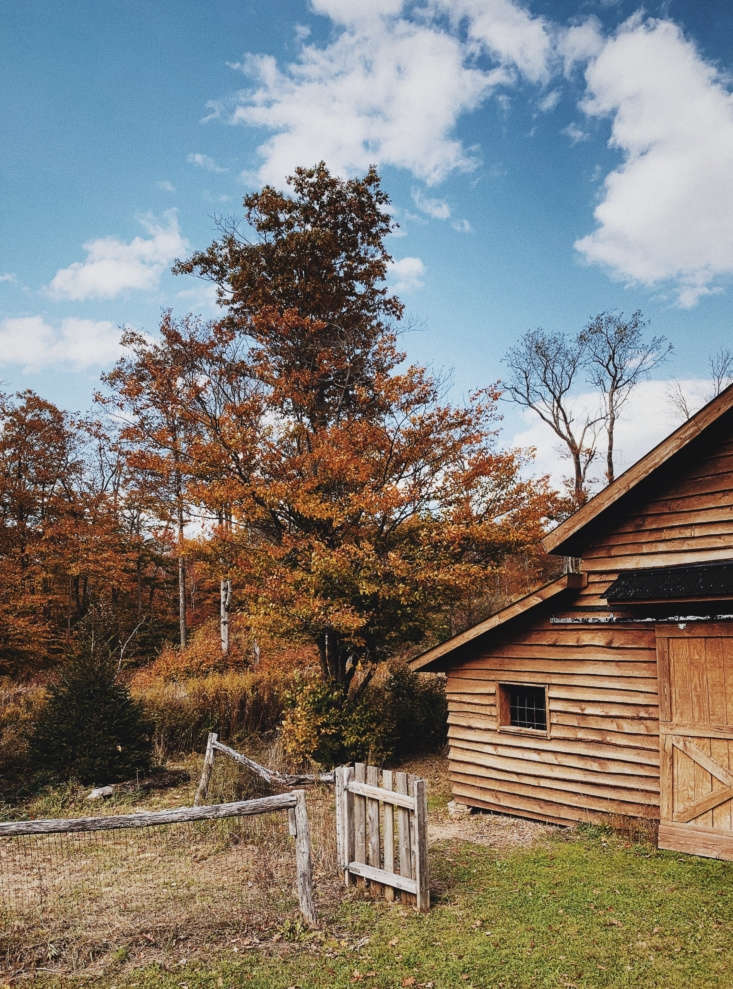 &#8\2\20;the cabin is located in the western part of the catskills, in a ti 14