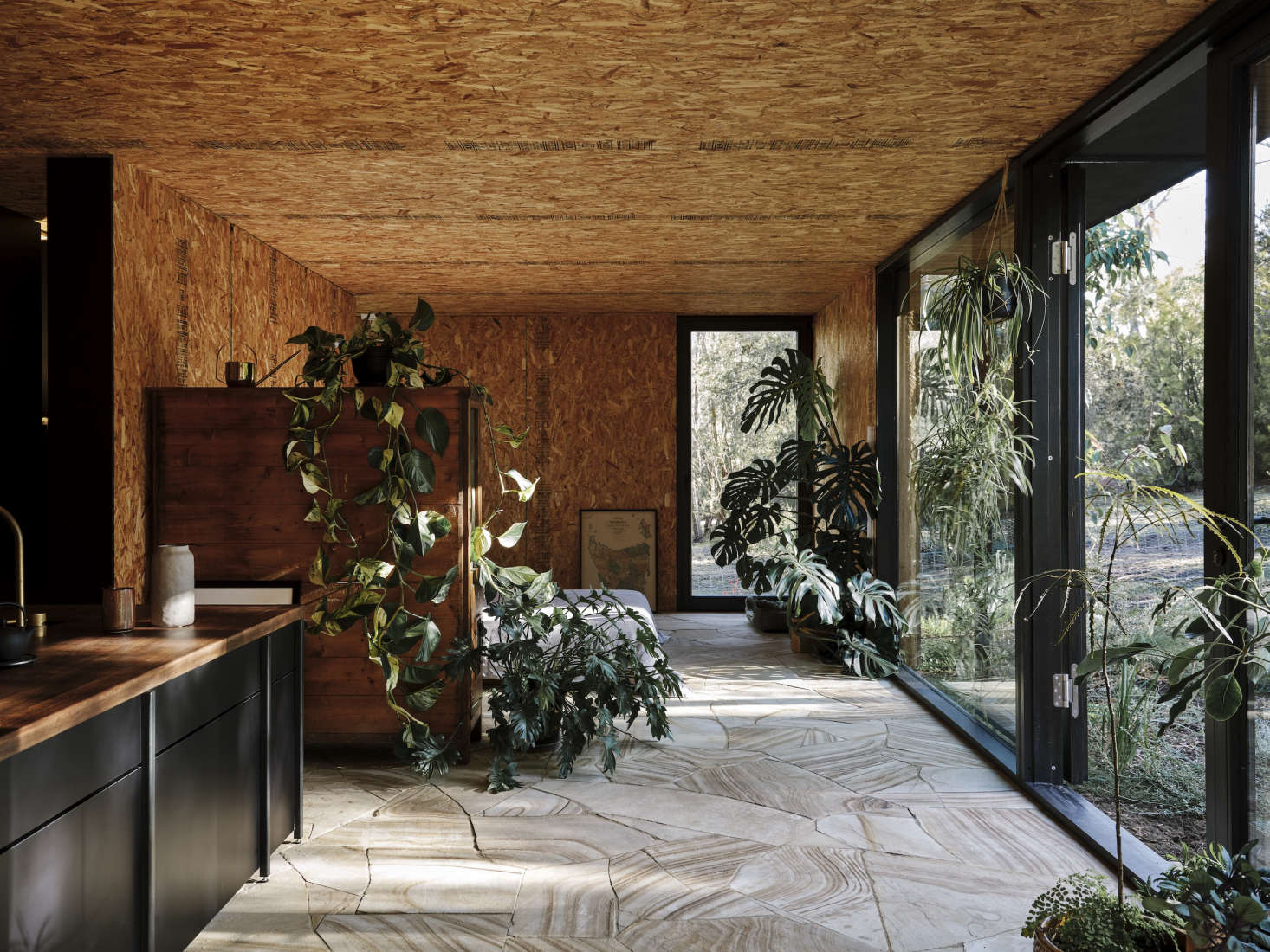 The other side of the room. Just beyond is the bedroom. Devil’s Ivy, Monstera, Philodrendron, Ficus burgundy, and even fig and avocado trees blur the line between indoors and out.