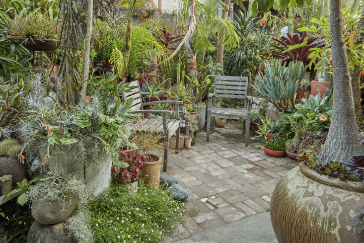 proof that a small footprint can feel otherworldly: garden visit: clarke de mor 18