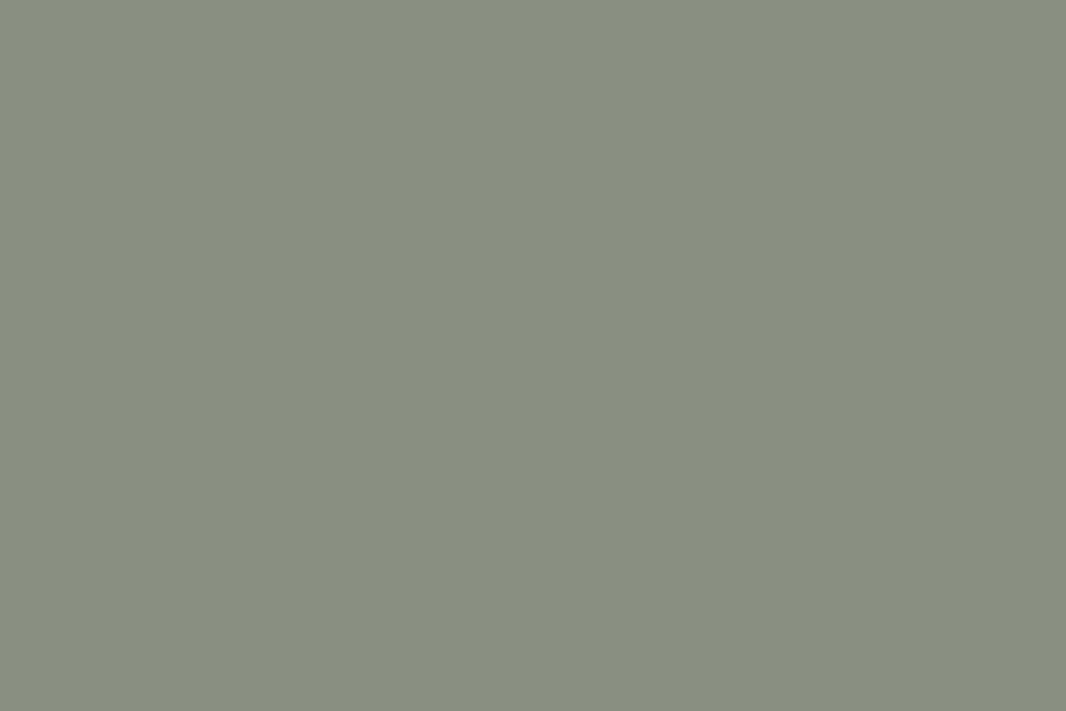 for a similar light green seen on the trim and baseboards, farrow & ball&am 15