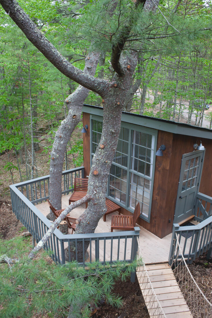 above: the winner will also get a two night stay at seguin tree dwellings and g 18