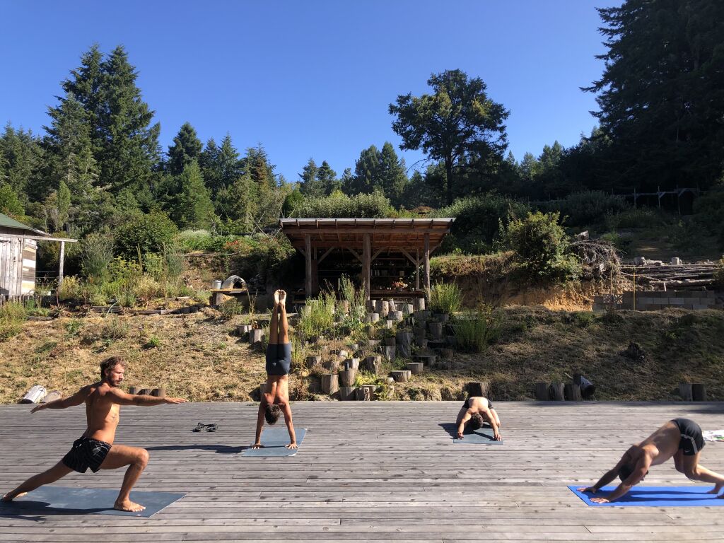 Salmon Creek Farm Community Among the Redwoods on the