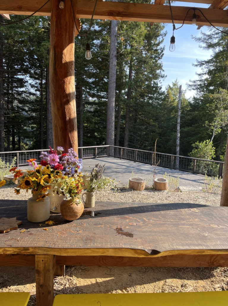 Salmon Creek Farm Community Among the Redwoods on the