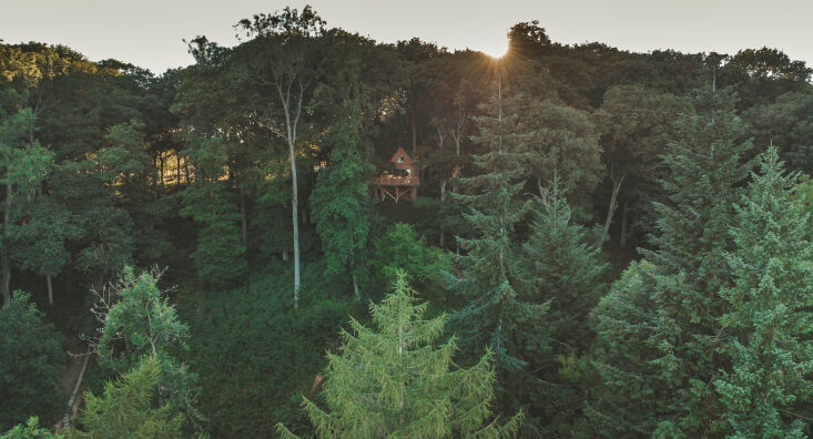 a drone view. matt and harriet plan to be build a second tree house, and she&am 36