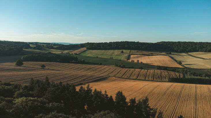 the view from here. photograph by joel hoddell. 37
