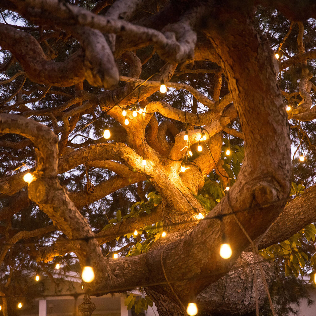 Best in Class: Solar String Lights for Outdoor Festivities - Remodelista