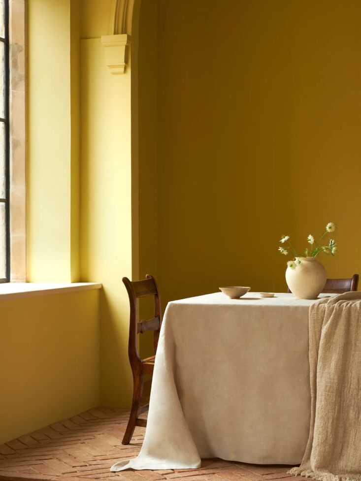 mylands&#8\2\17; olive stone emulsions are made from—what else?—discard 20