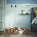 This Just In: Ikea for the Pet Set - Remodelista