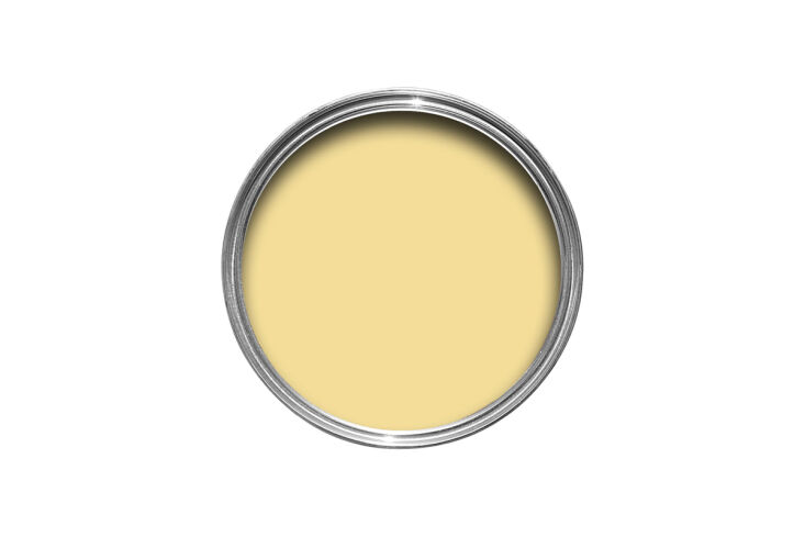 the buttery yellow on the walls is a bespoke color from coat paints. for a simi 19