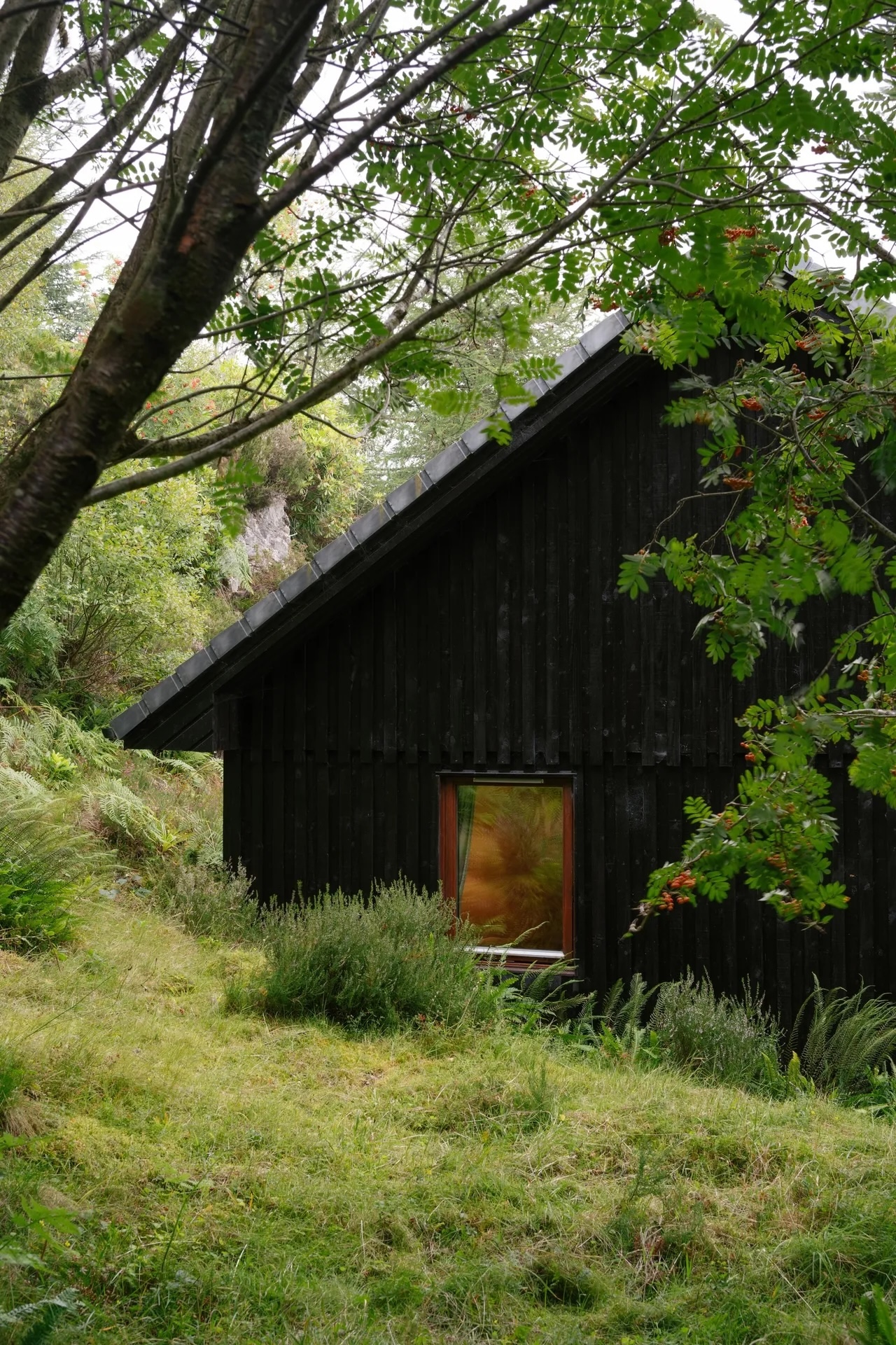 the cabin is situated just up the hill. 27