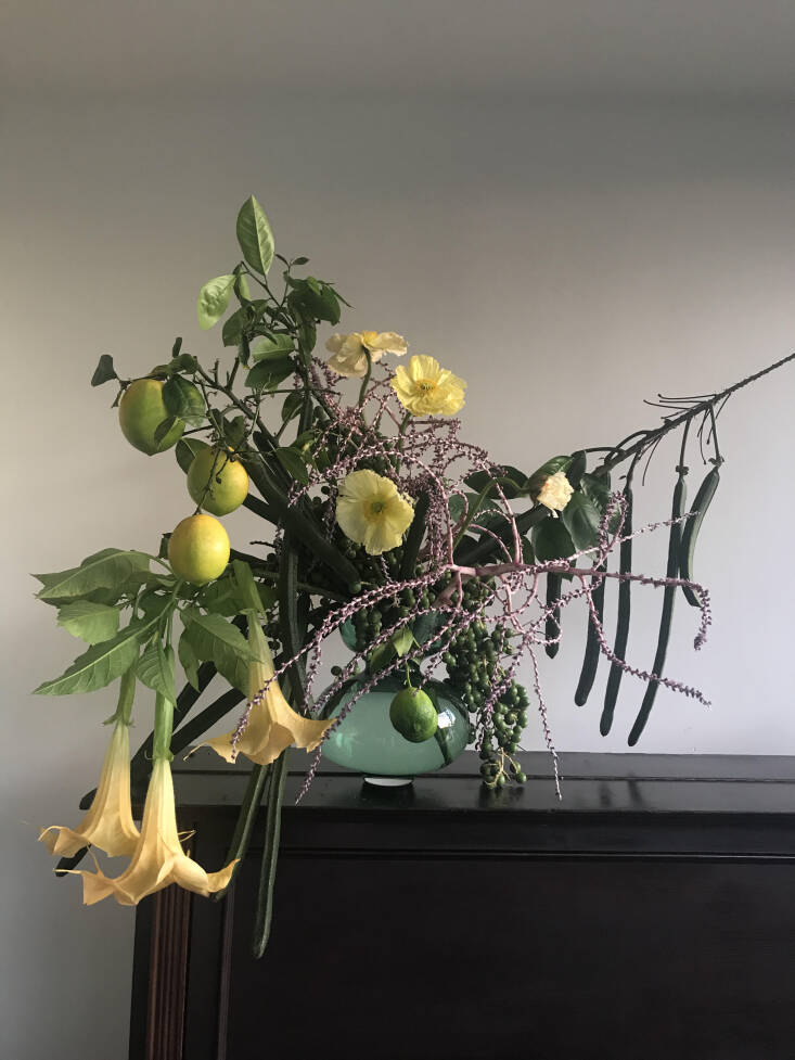 a garden arrangement with brugmansia and citrus. 29
