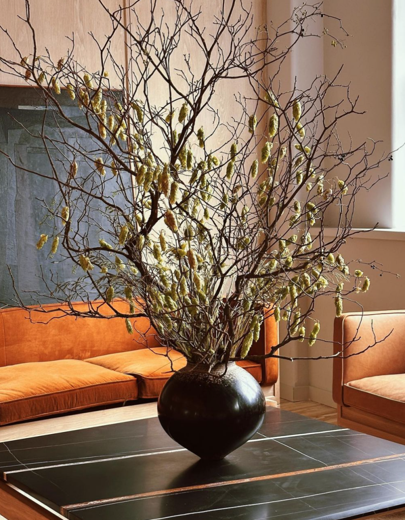 Domestic Flora Alex Crowder Field Studies Flora: Expert Advice