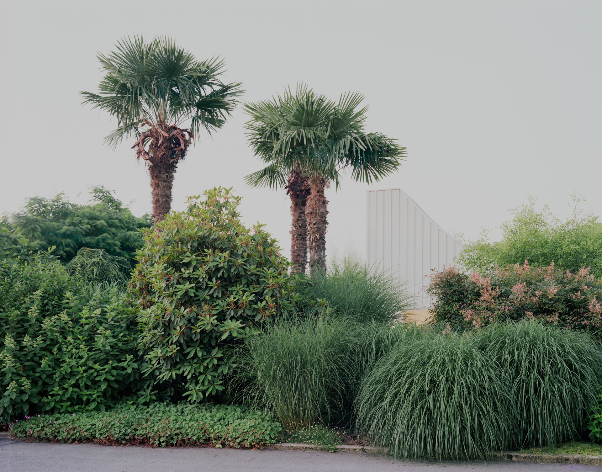 the swooping \1960s structure rises from behind a newly planted wall of greener 17