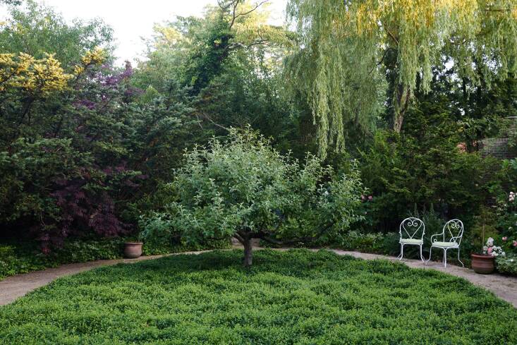 how do designers plan their landscapes? with some key interiors principles in m 18