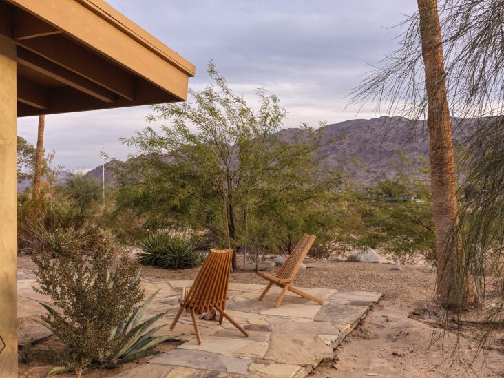 above; hotel wren also has a saltwater pool, a community library in the lobby, 29
