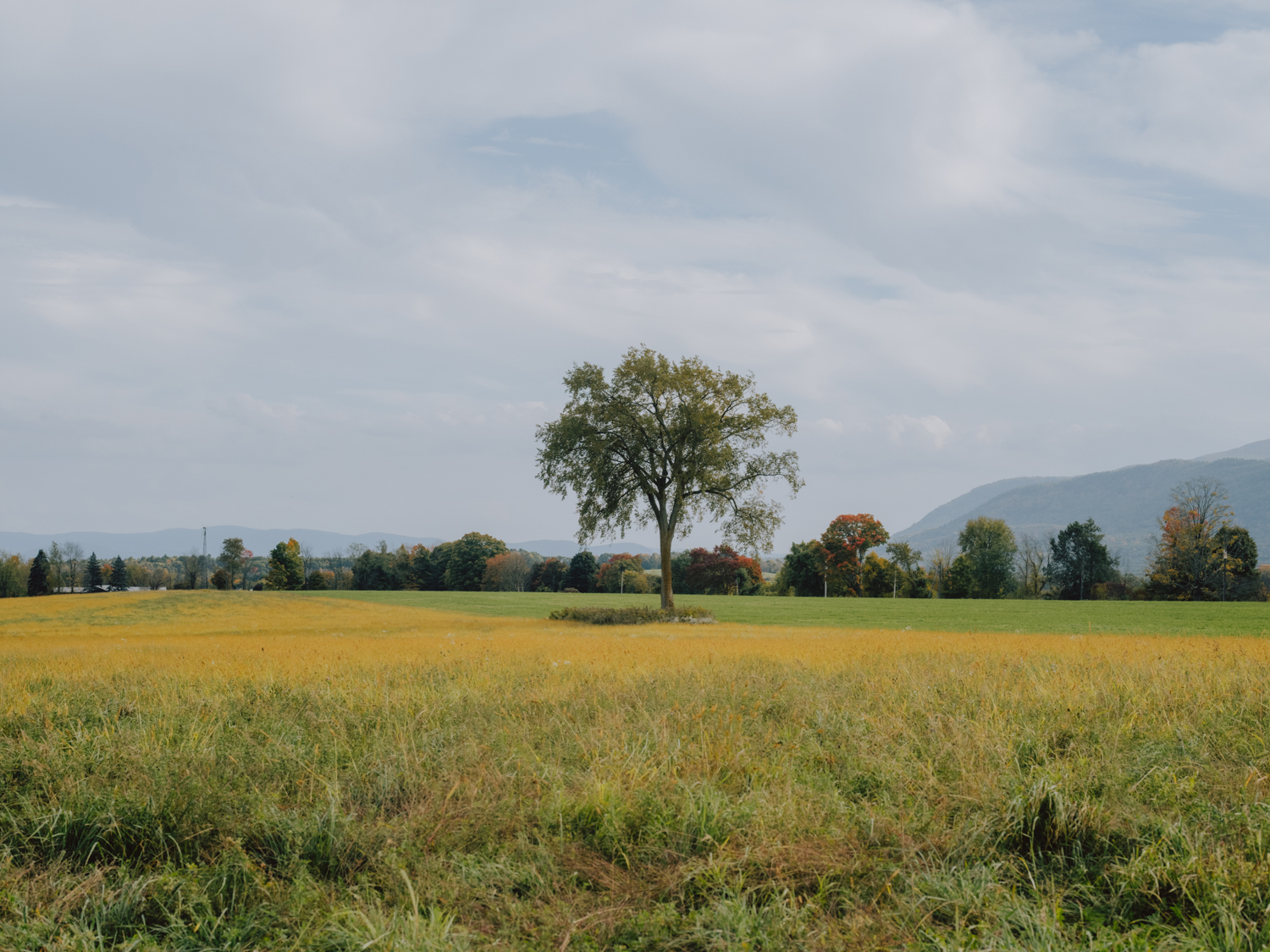 egremont, in western massachusetts, is just \10 minutes from lively great barri 32