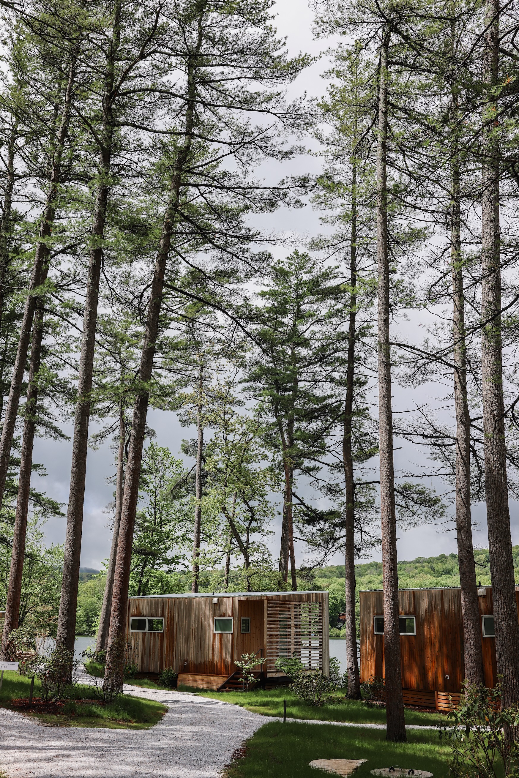 the modernist cedar clad cabins are clustered in the woods facing the lake, som 17