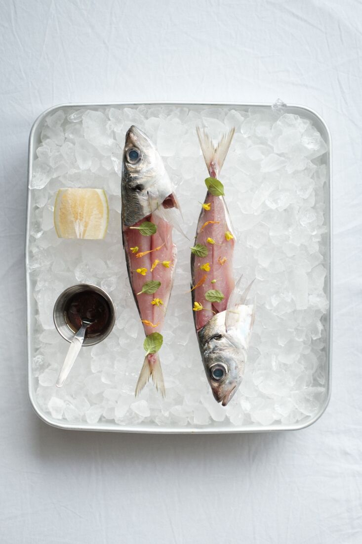 the fresh seafood—and its presentation—is a big draw. photograph by delaney 20
