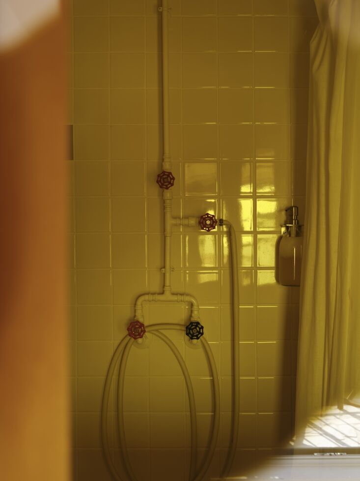 the diy shower built by their plumber has handles that mailaender describes as  30