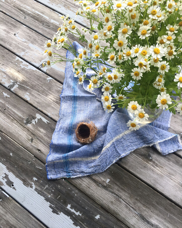 the best souvenirs are free (or at least inexpensive). i found this pretty kitc 28