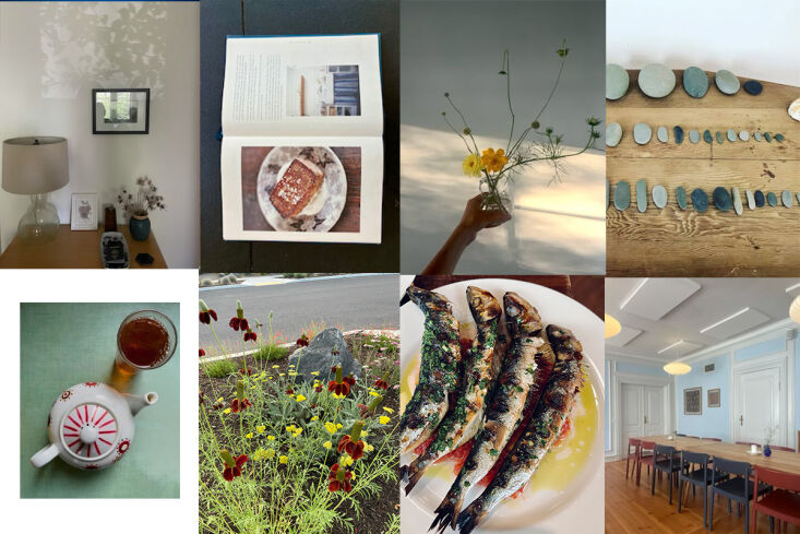 in this monthly dispatch from the r/g editors, you might find peeks at our own  17