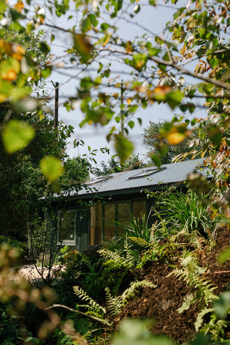 the exterior of one of native\2\17;s new garden suites. the planting pea 20