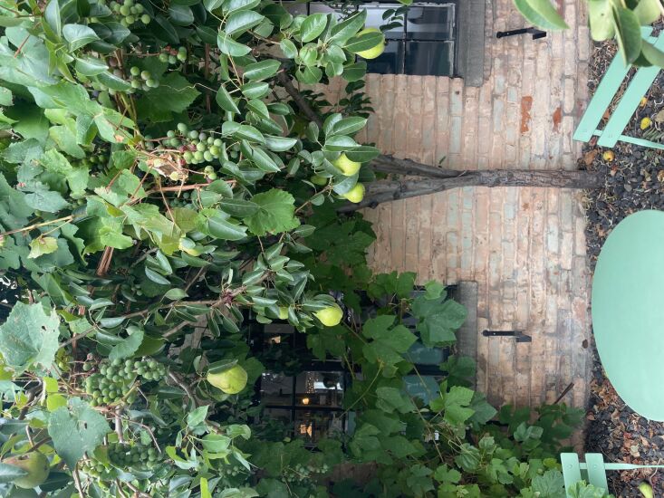 &#8\2\20;i snapped this at café des chutes in bend, or, not for the pretty 33