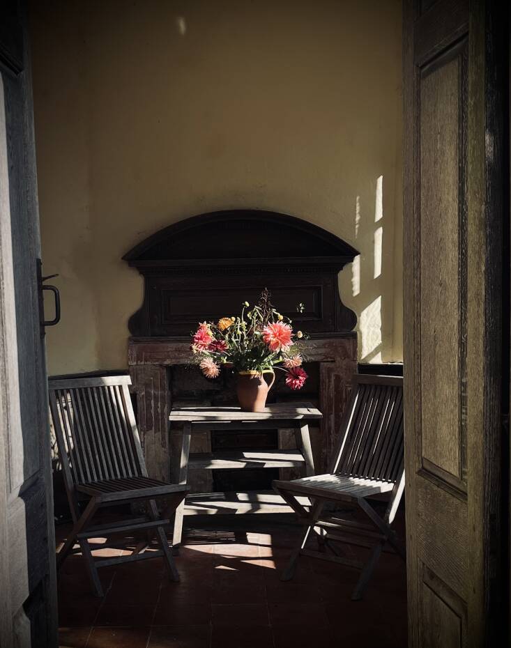 this octagonal garden house was discovered &#8\2\20;submerged in yew in the 19