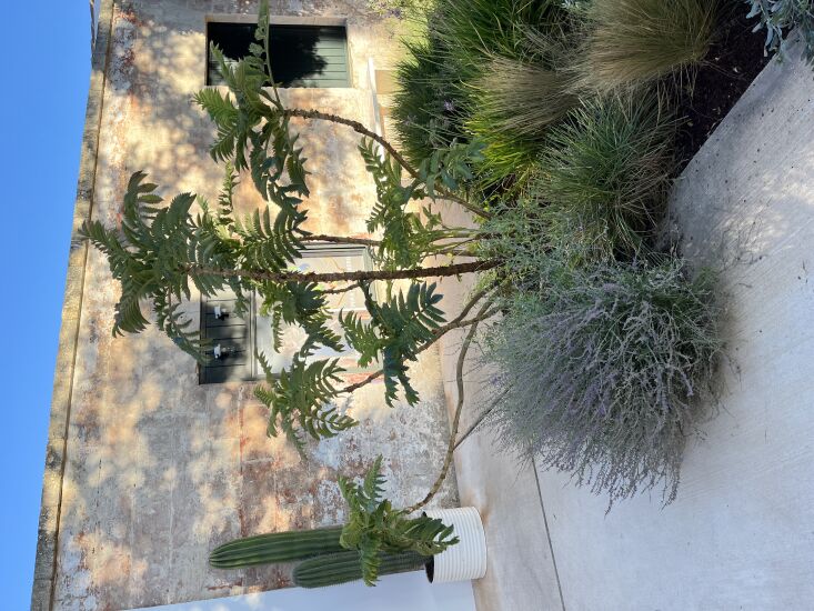 &#8\2\20;hauser & wirth&#8\2\17;s garden on the balearic island of  37