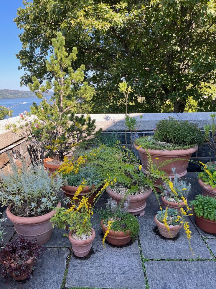 &#8\2\20;i went to the cloisters last weekend for the first time in years.  34