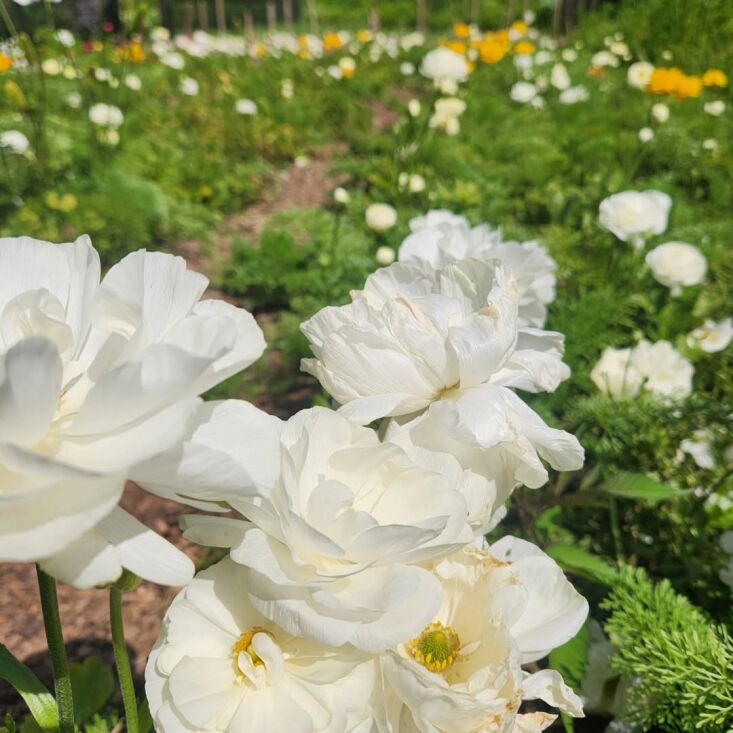 &#8\2\20;rental accommodation is never &#8\2\16;home&#8\2\17; until 36