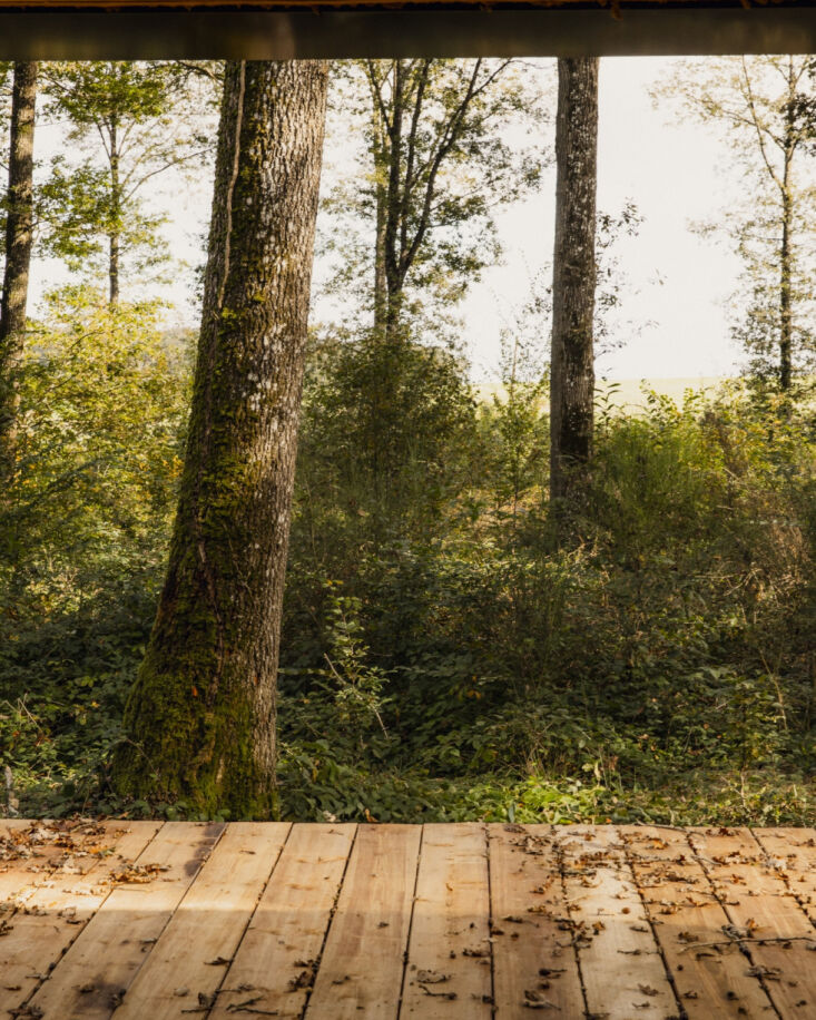 barely a barrier between forest and house. 29