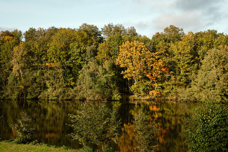 the surrounding wild and expansive lake within the estate. 22