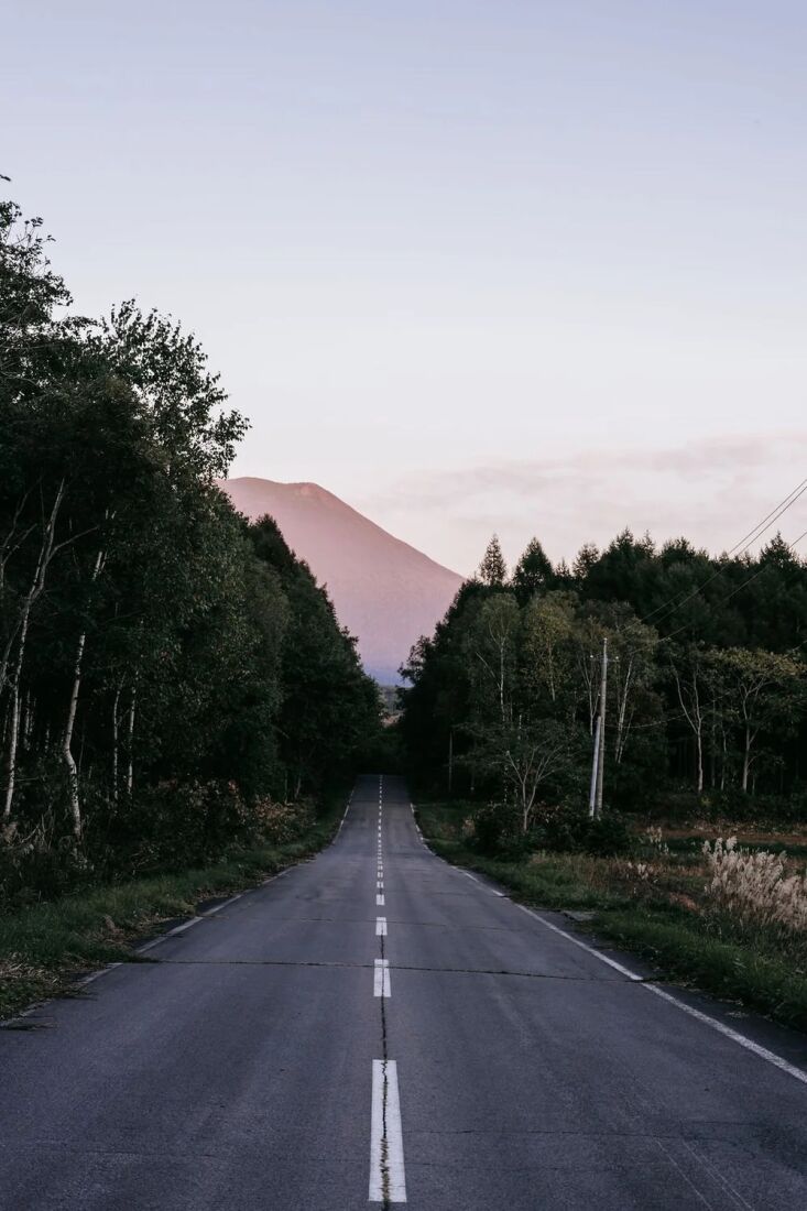 hokkaido. outside the cabins, the couple planted 55 pine trees using three diff 21