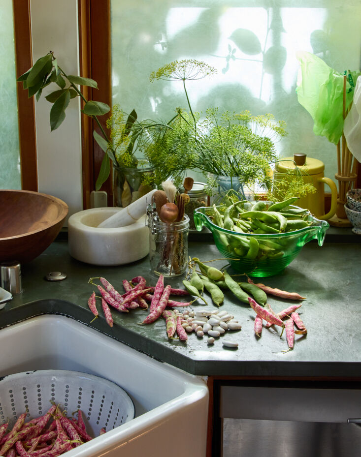 \2\20;i always grow shell beans, even if it’s not the most efficient u 18