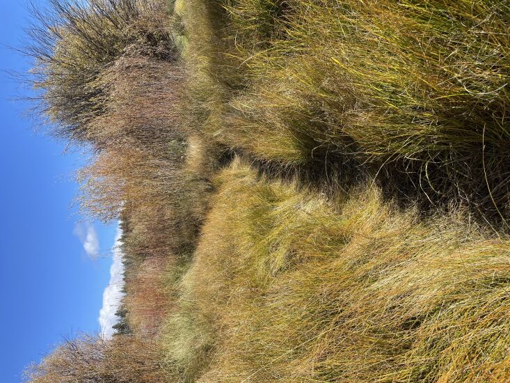 \2\20;snapped this on a recent walk. it’s a good reminder that you don 30