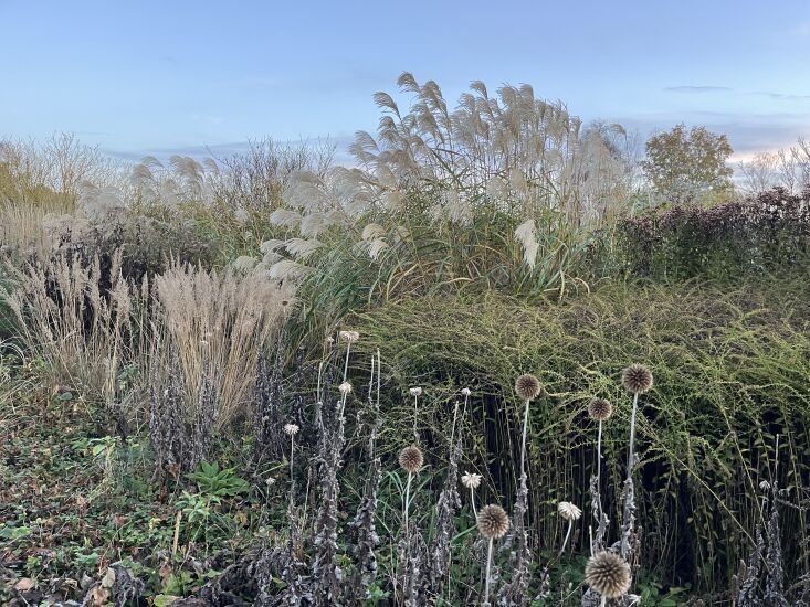 \2\20;i was in north norfolk a few weeks ago to look at gardens. it& 34