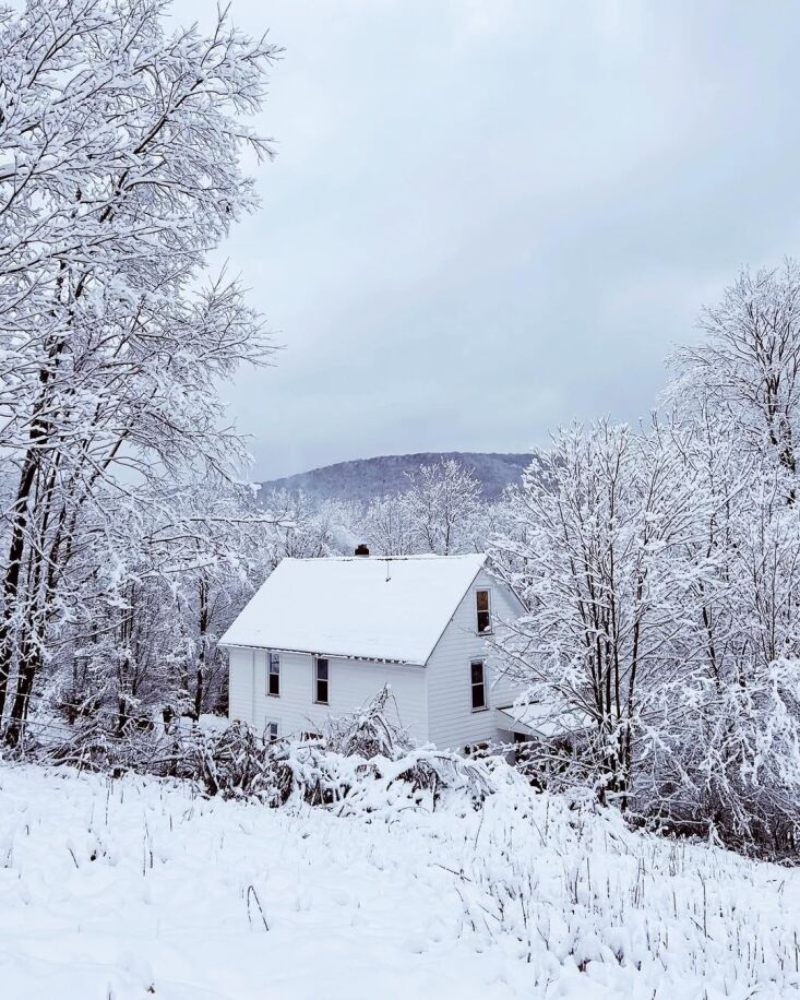 after a snowfall. 33