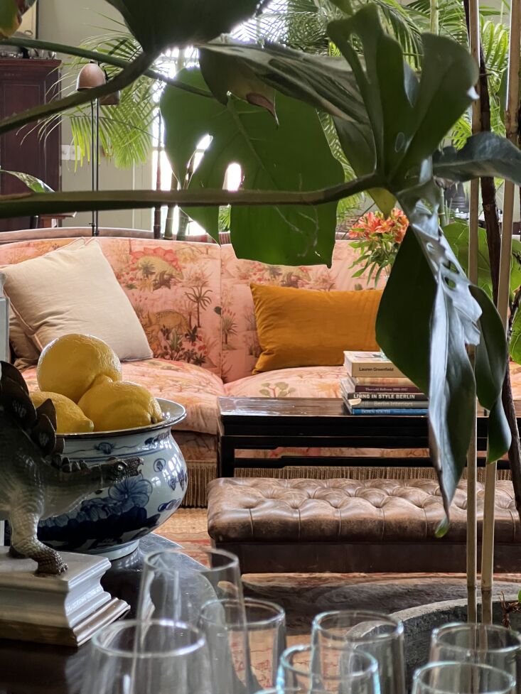 glimpses of the salon\230; 24