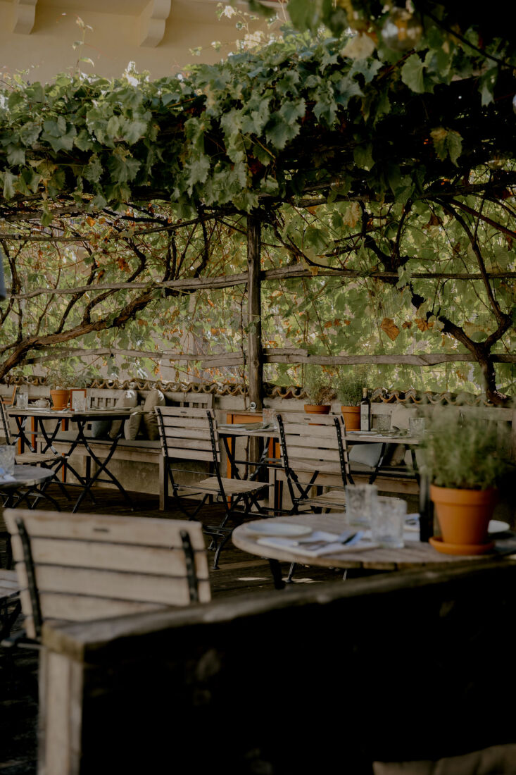 gatherings move outside in warmer months under a natural canopy and bistro seat 29
