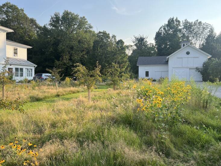 writer/designer nick spain re wilded his massachusetts front lawn, and you can  19