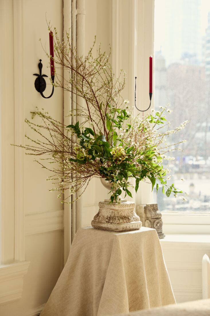 a springy glimpse from armadillo\2\17;s new showroom, now open, styled b 17