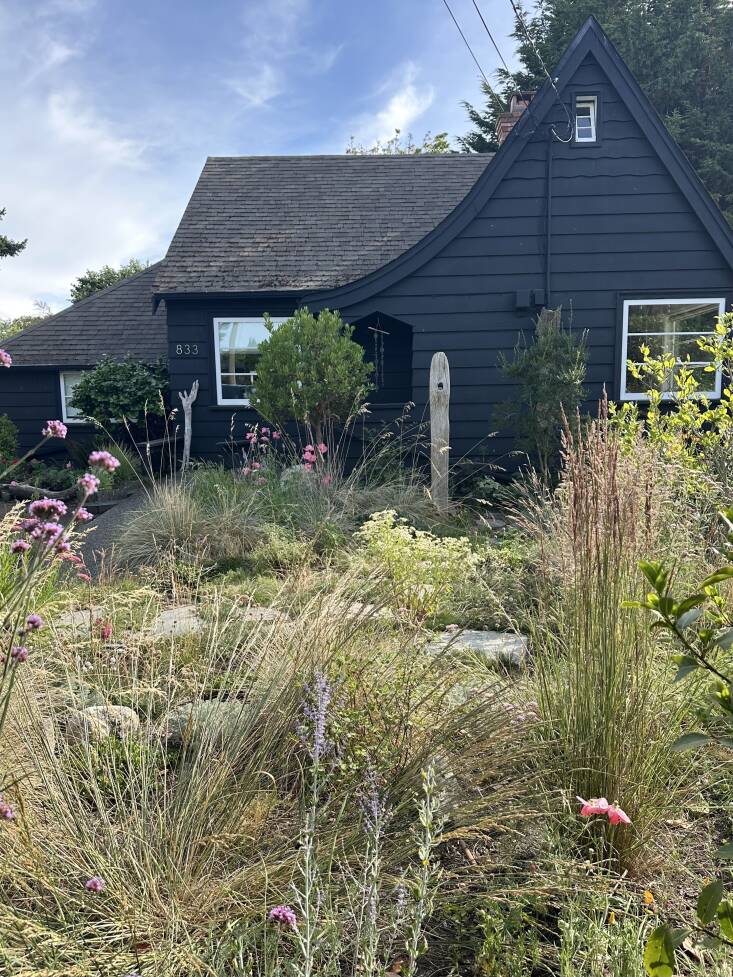 reasons to paint your house black: it\2\17;ll provide dramatic backdrop  19