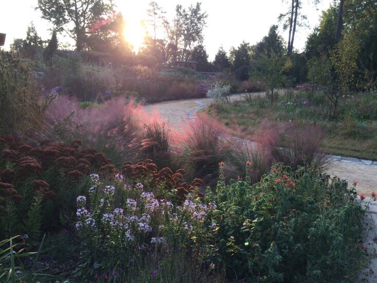 the power of a curving path. photograph courtesy of shannon currey/izel native  20