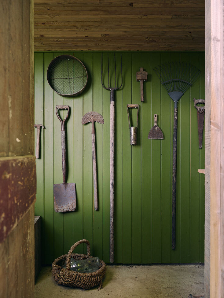 found tools against a springy green backdrop at sarah\2\17;s place. phot 20
