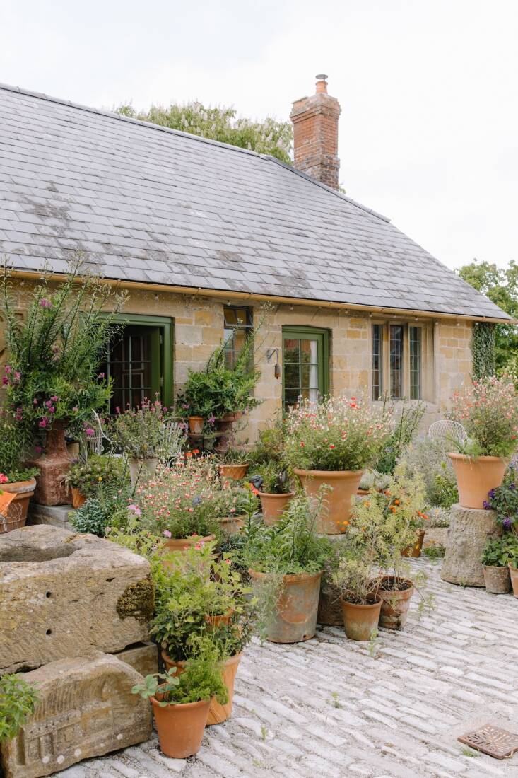 groupings of potted plants soften a courtyard in garden visit: ashington manor, 17