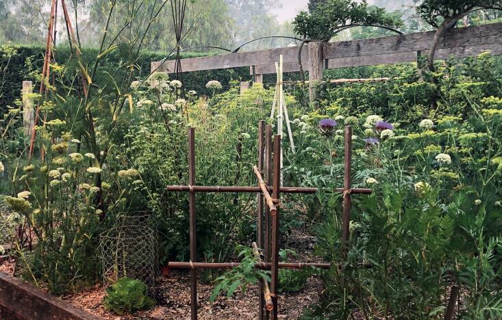 the wild kitchen garden. photograph by mickey robertson from 6 ideas to steal f 18