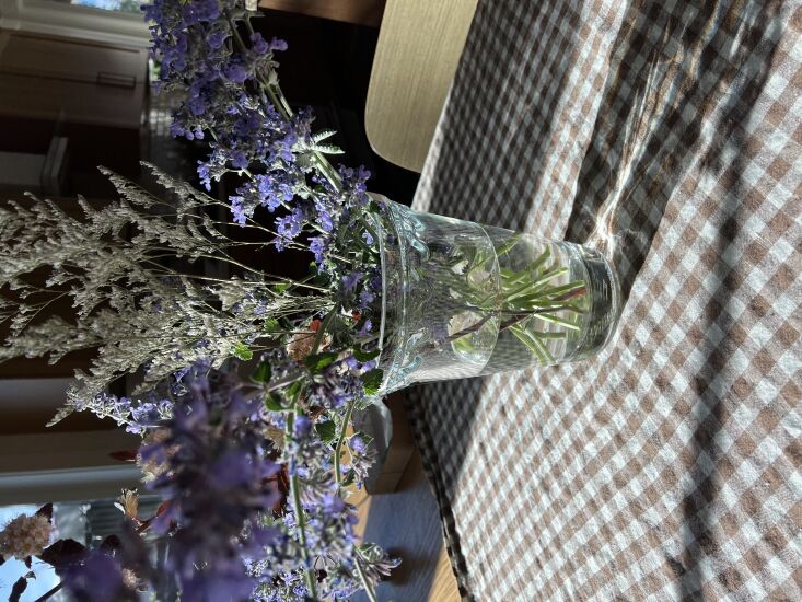 \2\20;my newest vase: the bergs potter copenhagen vase. i love that it&a 35
