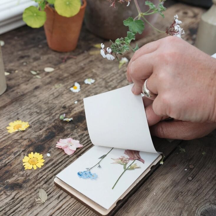 preserve stems as you go: the floral society\2\17;s mini flower press, \ 19