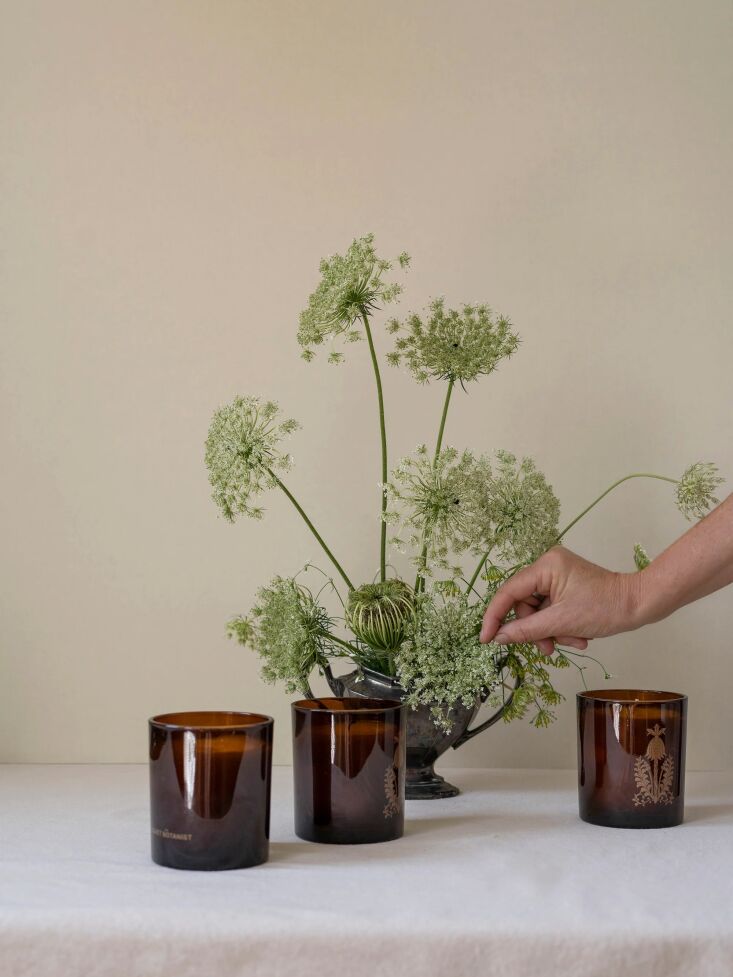 over at the quiet botanist, makers of candles, teas, chocolates, and soaps in & 28
